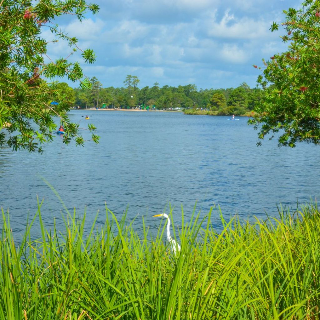 magnolia texas lake